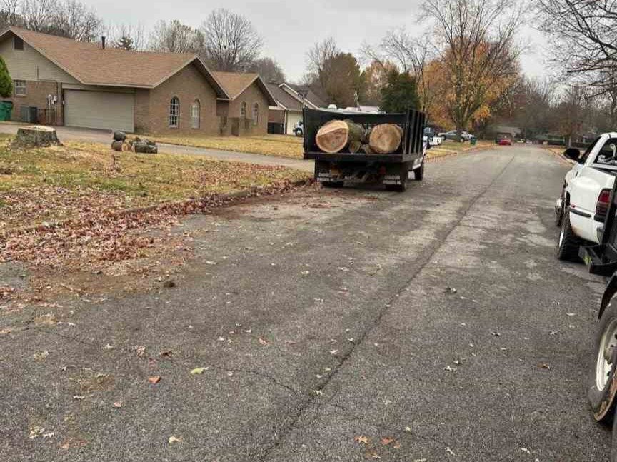 Luchos Tree Services