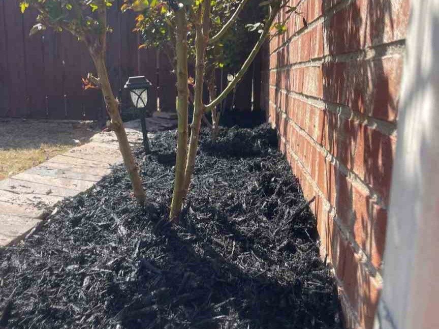 Luchos Tree Services