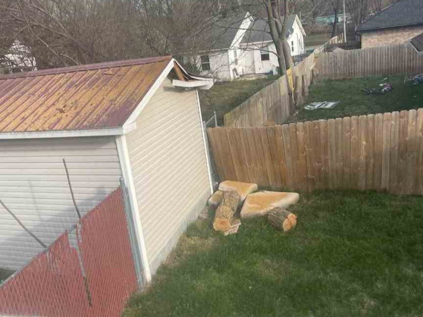 Luchos Tree Services