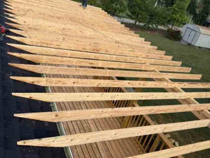 Luchos Tree Services