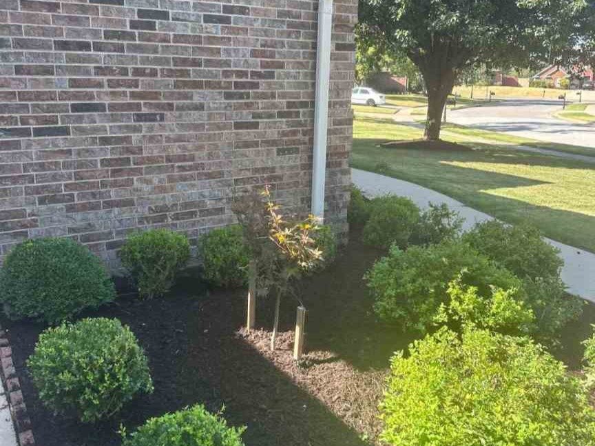 Luchos Tree Services