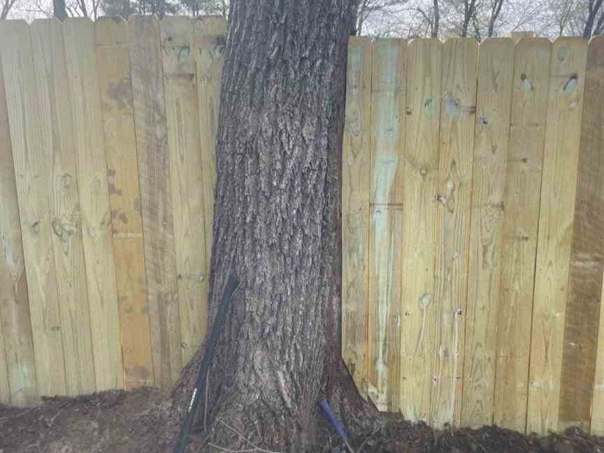 Luchos Tree Services