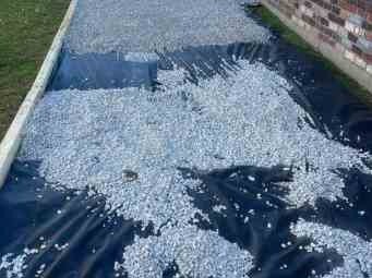 Luchos Tree Services