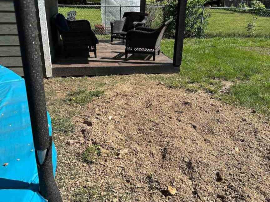 Luchos Tree Services