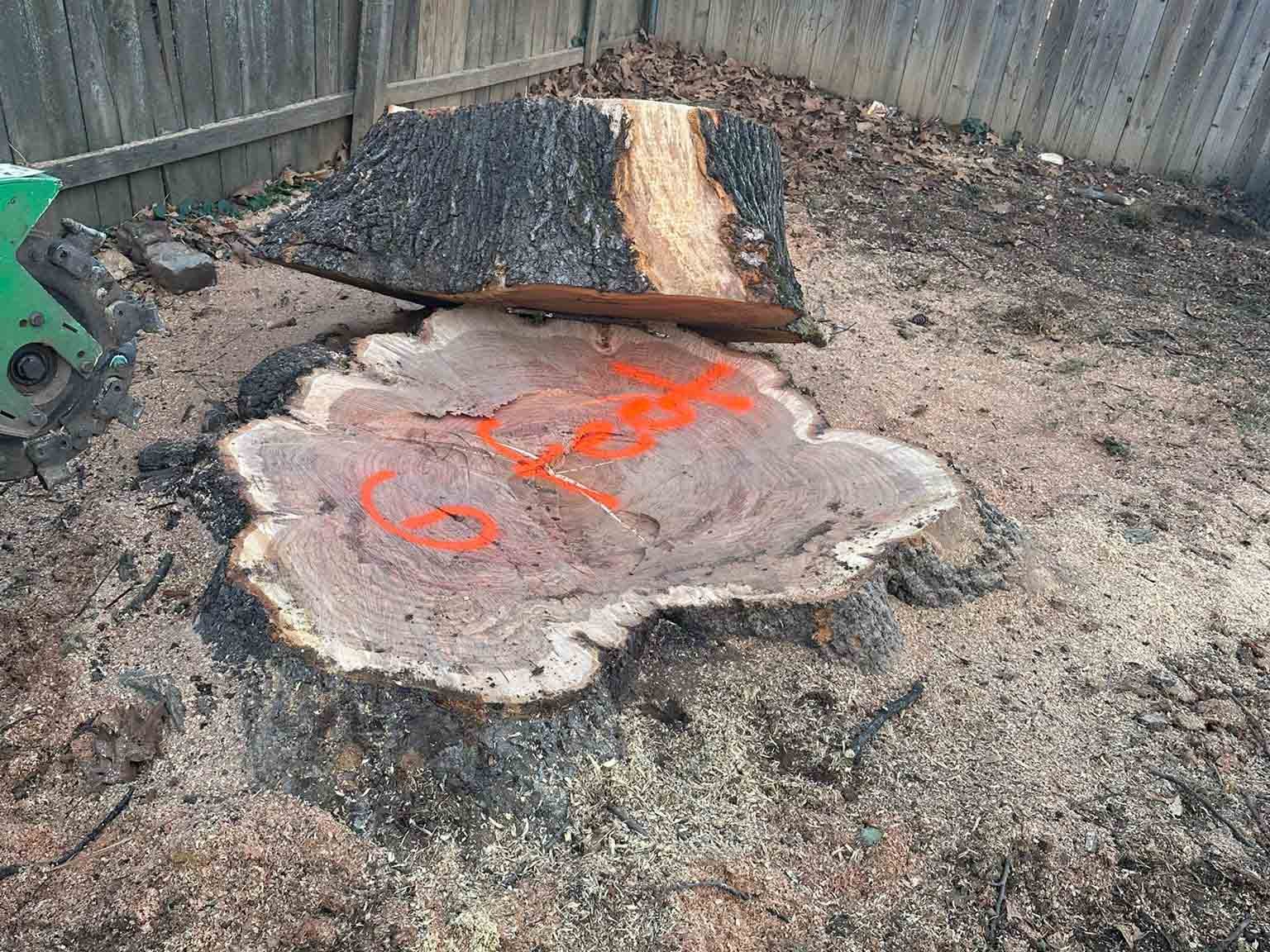 Luchos Tree Services