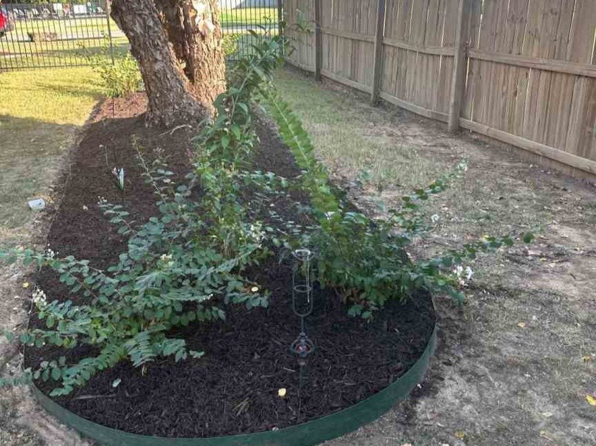 Luchos Tree Services