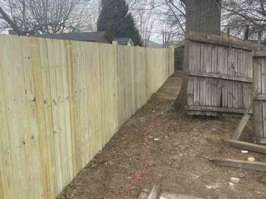 Luchos Tree Services