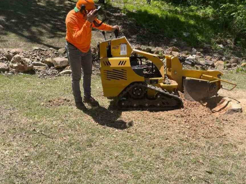 Luchos Tree Services