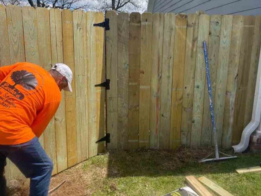 Luchos Tree Services