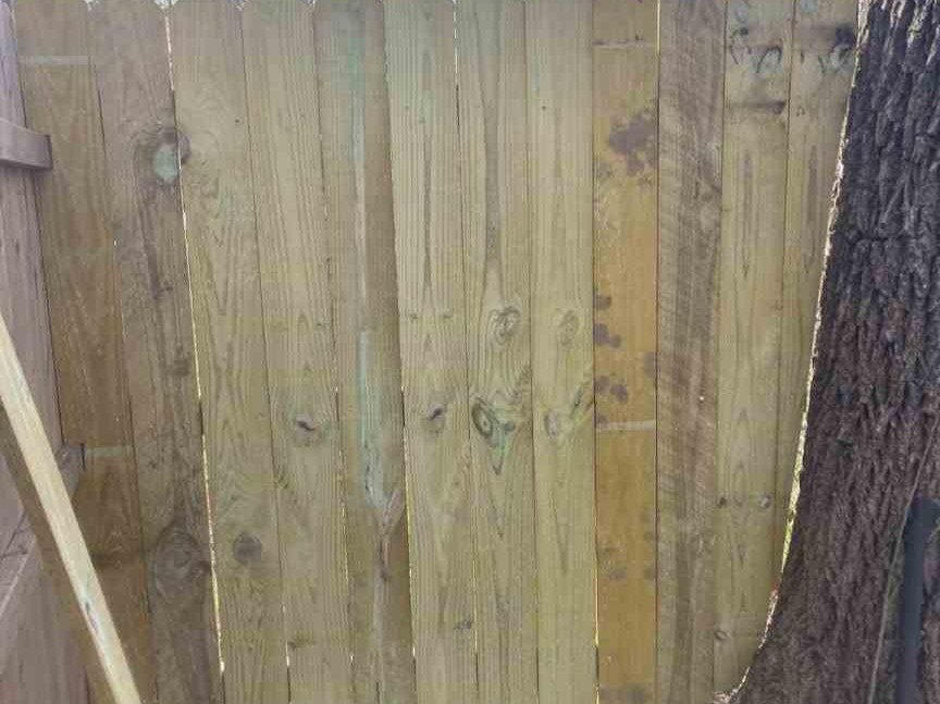 Luchos Tree Services