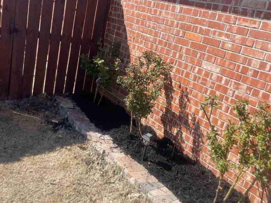 Luchos Tree Services