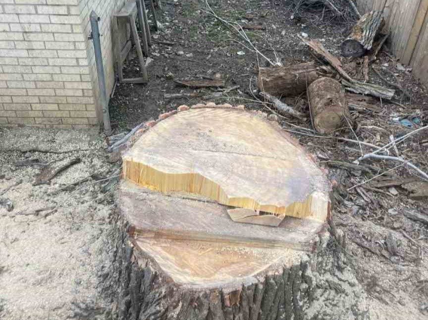 Luchos Tree Services