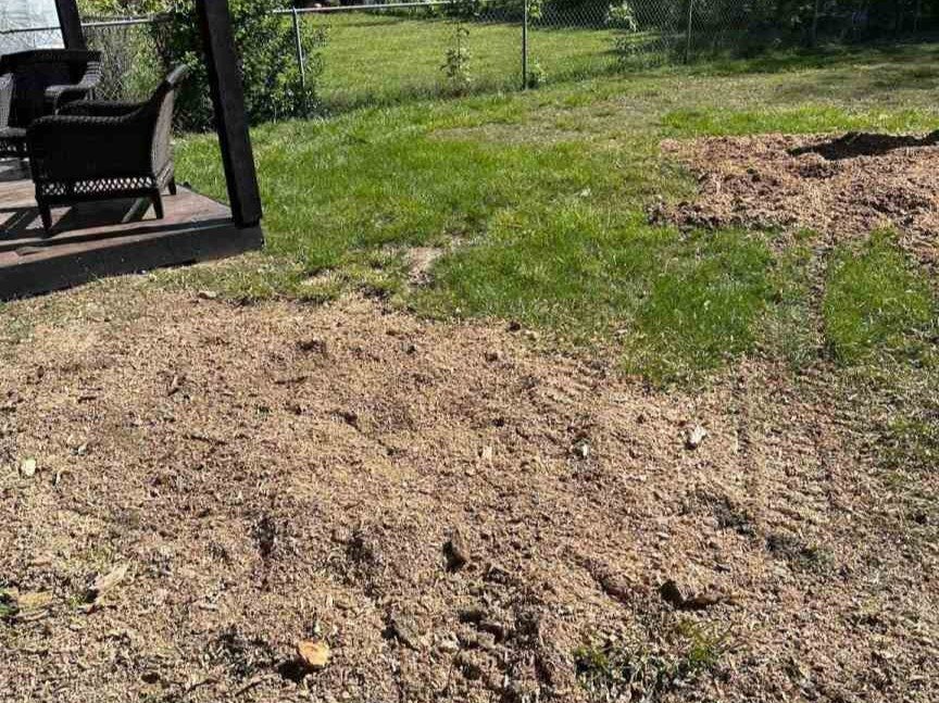 Luchos Tree Services