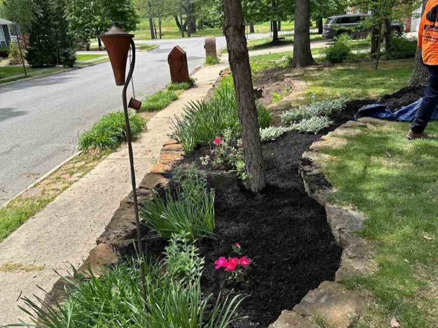 Luchos Tree Services