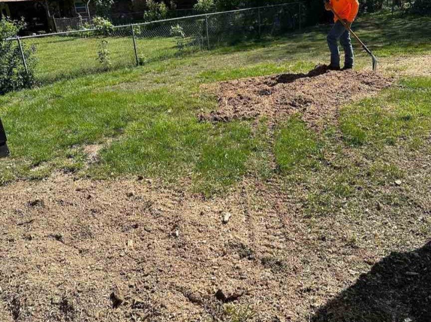 Luchos Tree Services