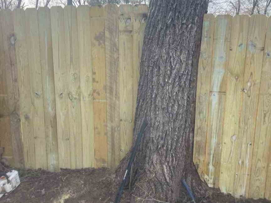 Luchos Tree Services