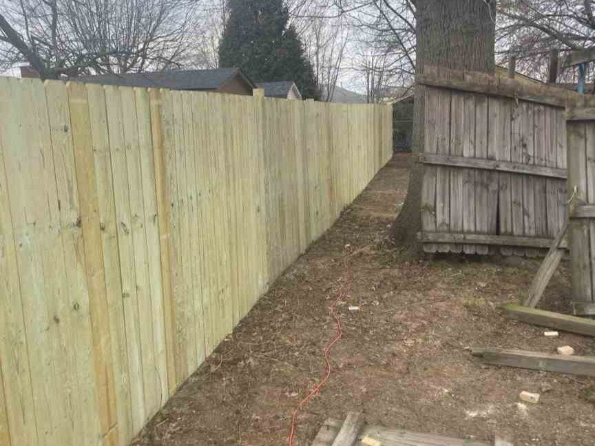 Luchos Tree Services