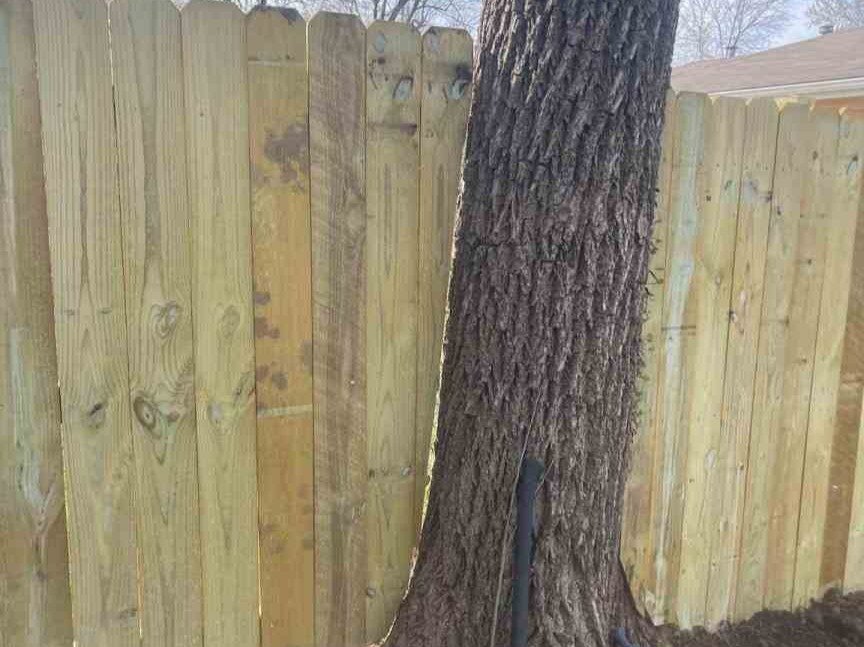 Luchos Tree Services