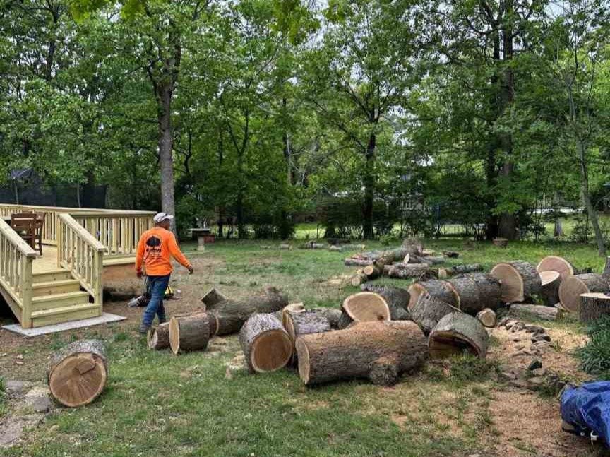 Luchos Tree Services