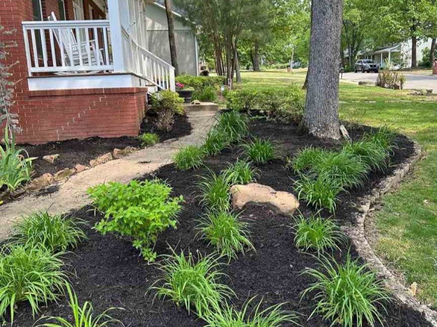 Luchos Tree Services