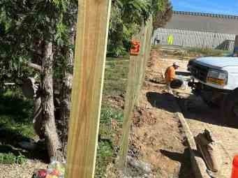 Luchos Tree Services