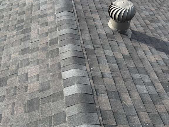 Luchos Tree Services