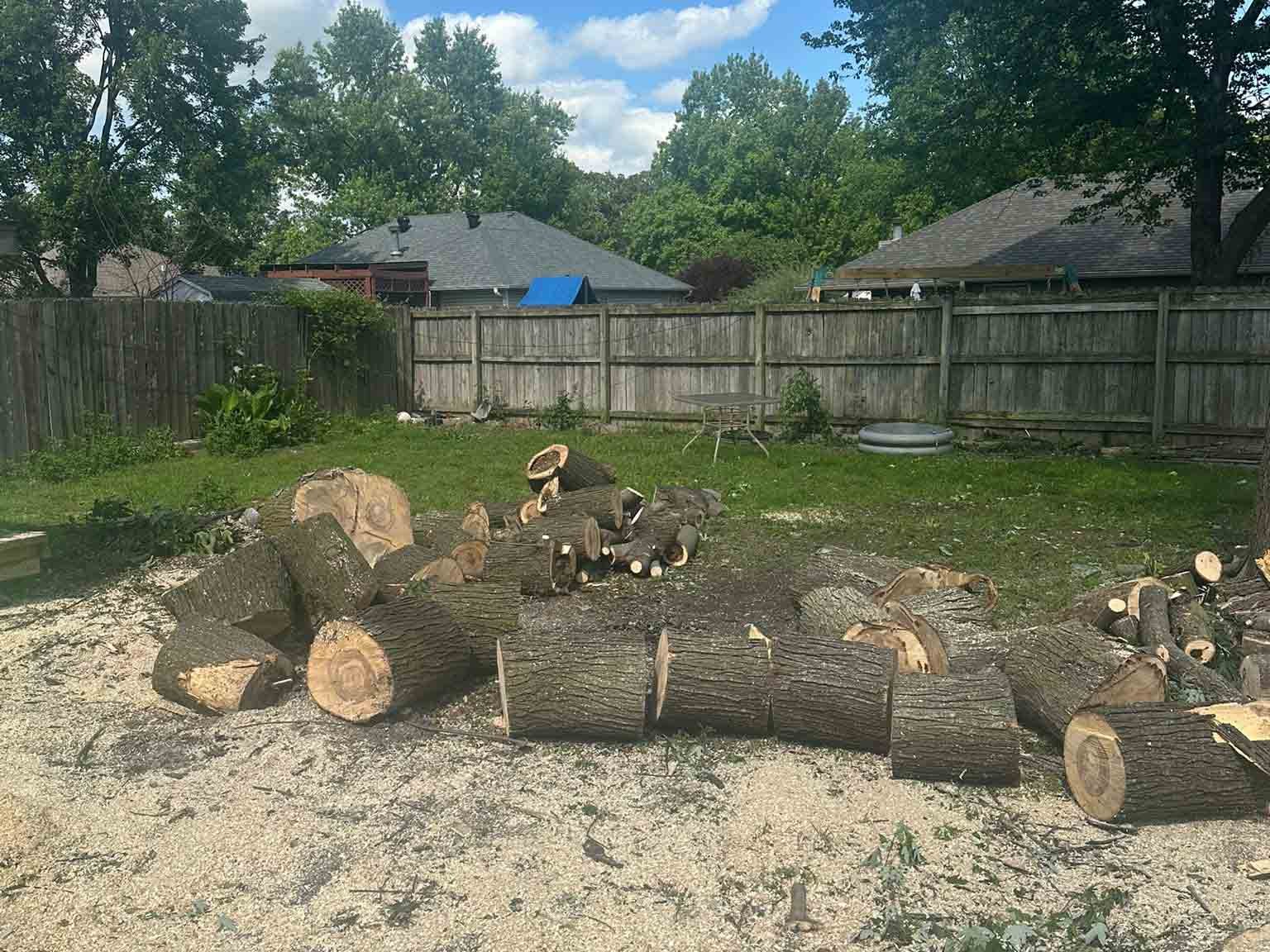 Luchos Tree Services