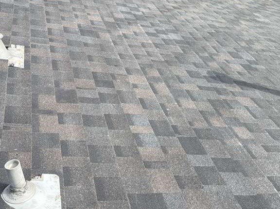 Luchos Tree Services