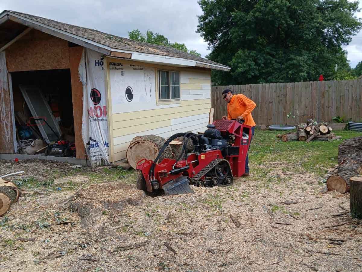 Luchos Tree Services