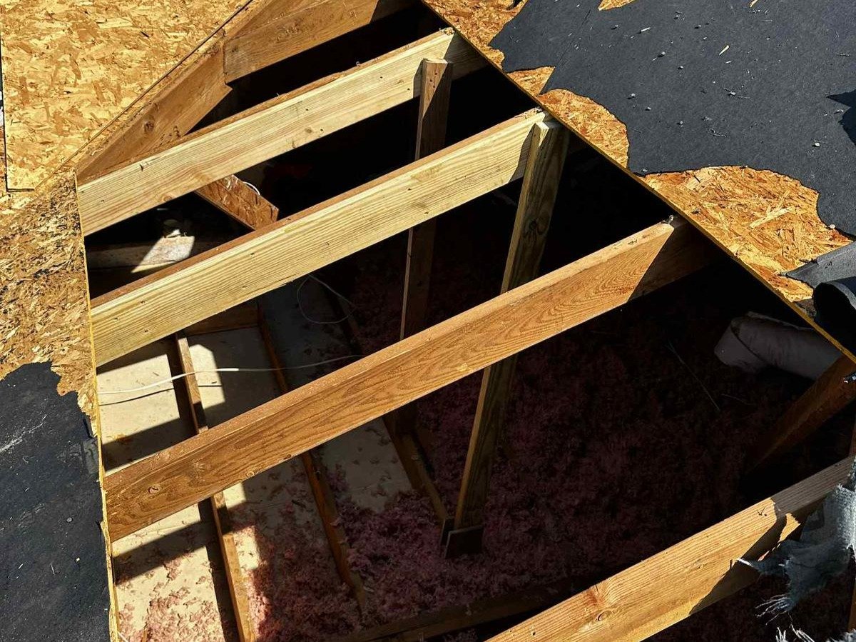 Luchos Tree Services