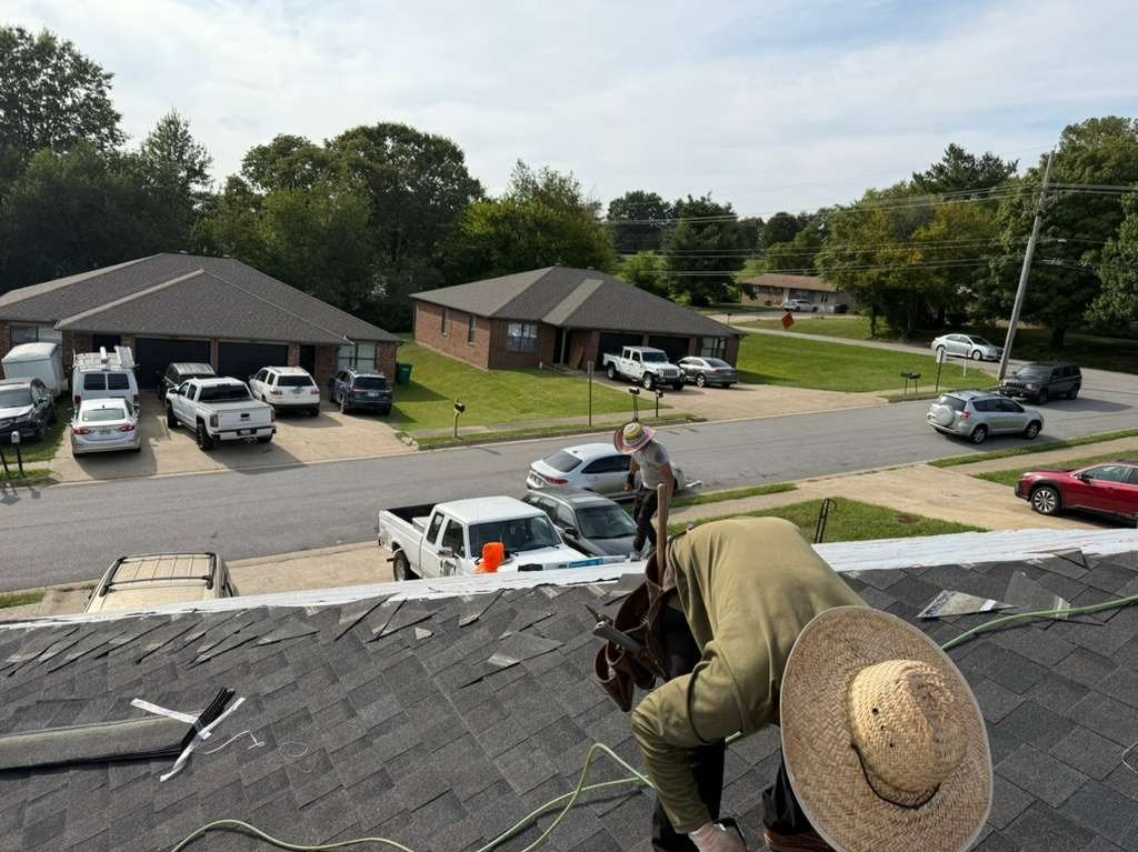 Luchos Tree Services