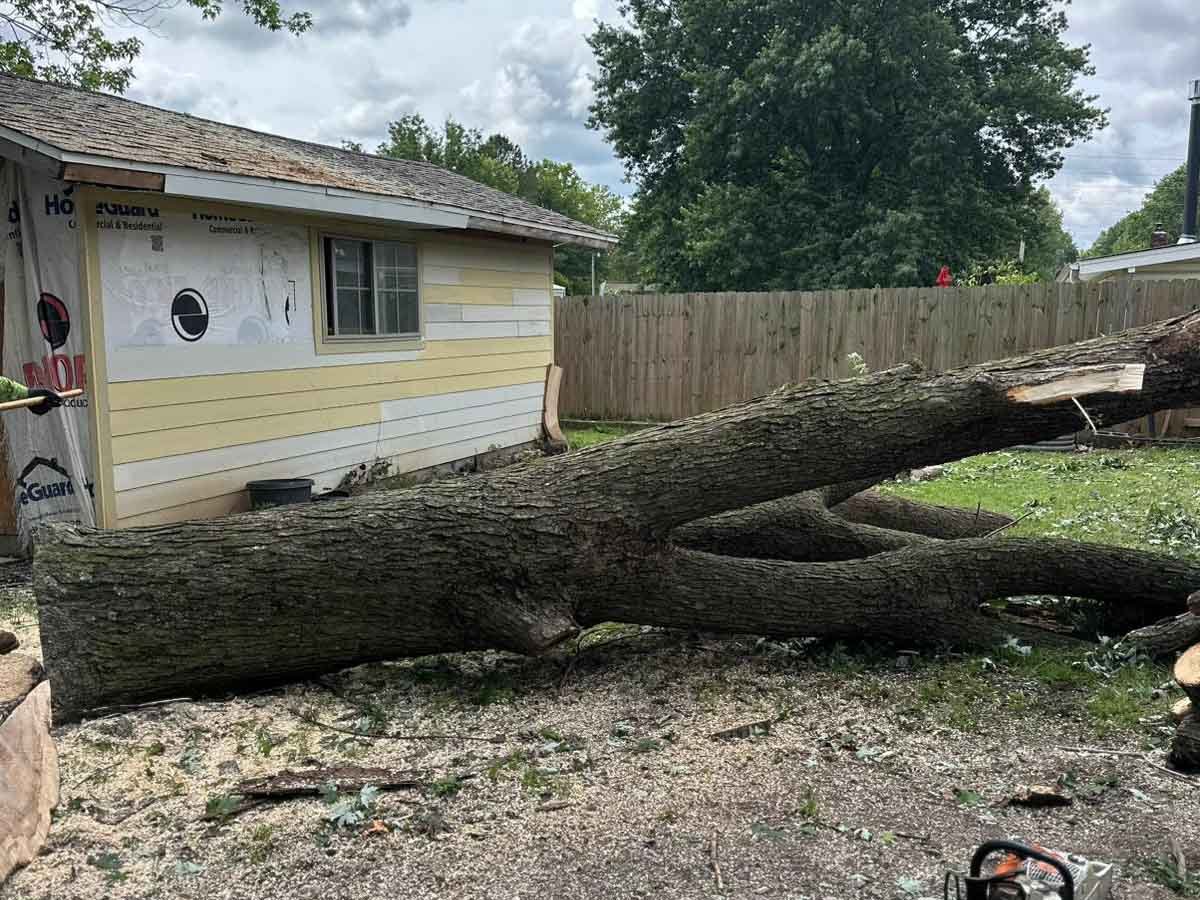 Luchos Tree Services