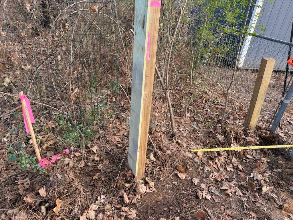 Luchos Tree Services