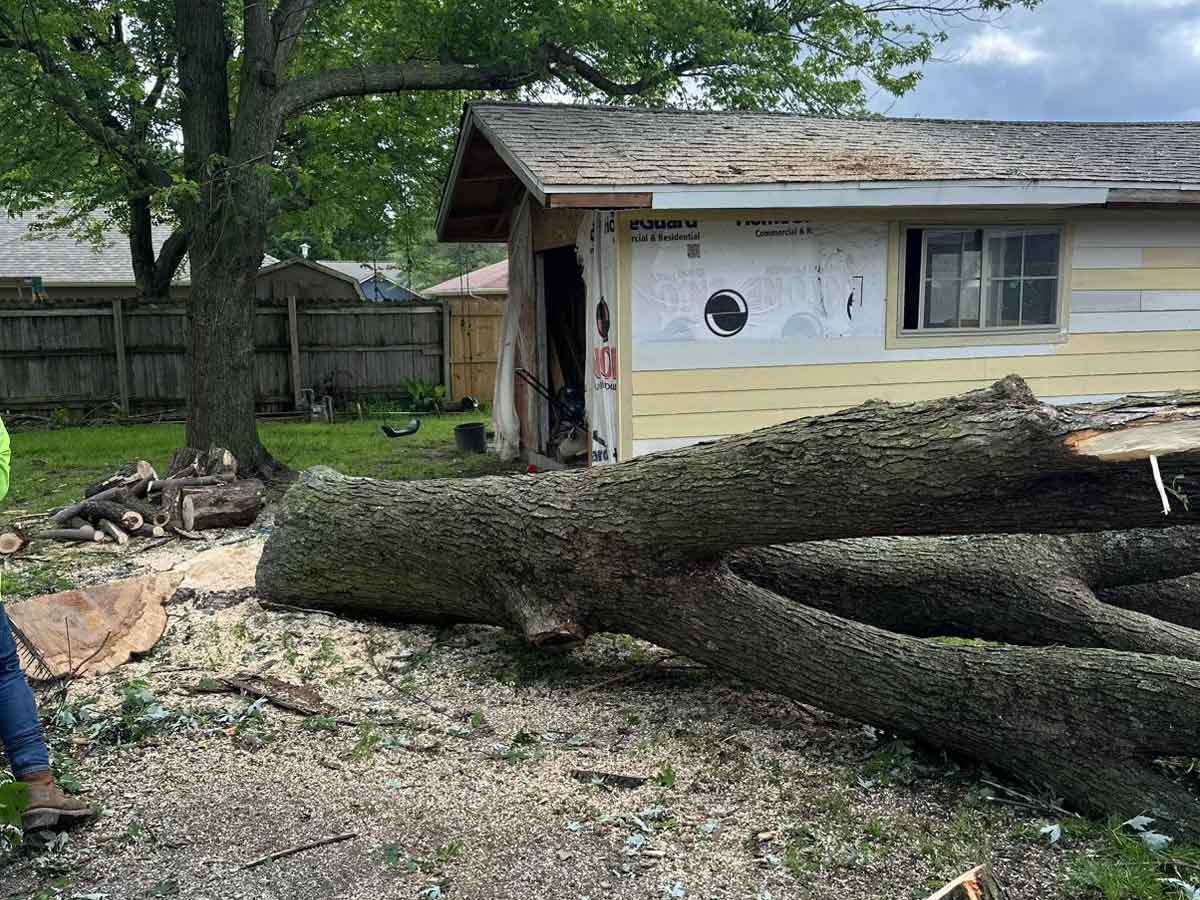 Luchos Tree Services