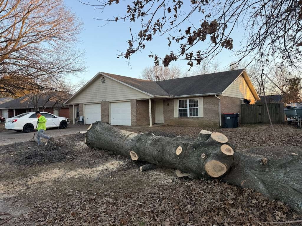 Luchos Tree Services