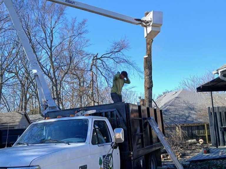 Luchos Tree Services