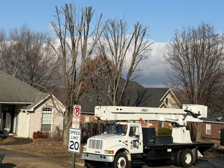 Luchos Tree Services