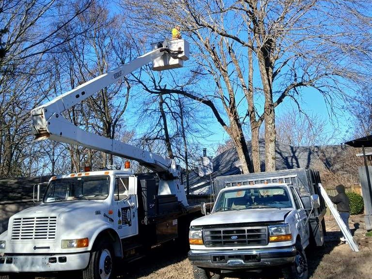 Luchos Tree Services