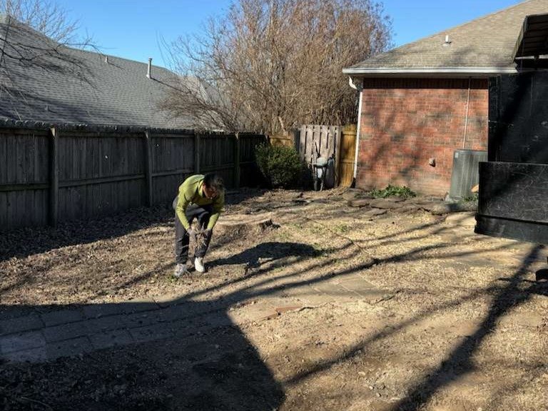 Luchos Tree Services