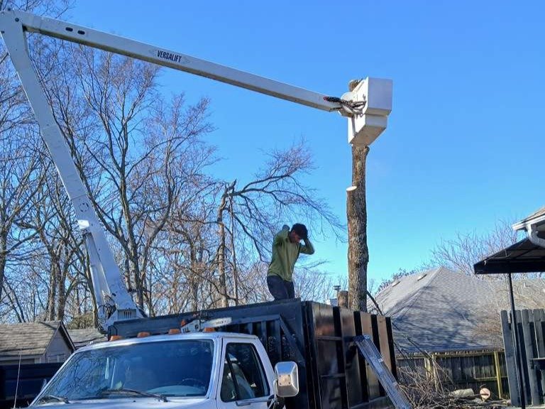 Luchos Tree Services