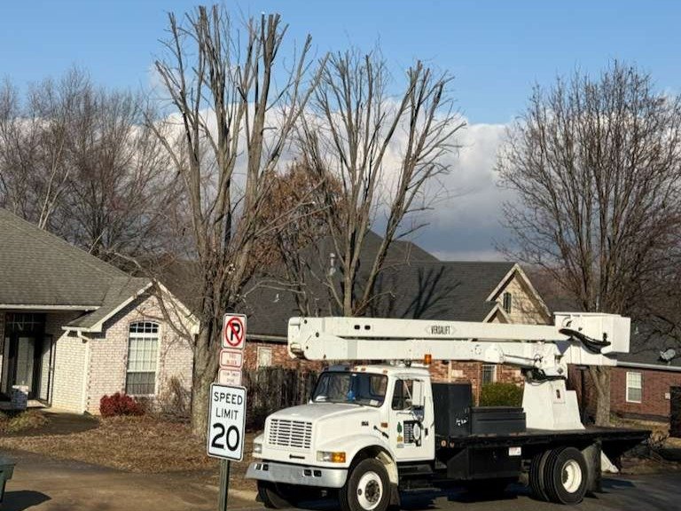 Luchos Tree Services