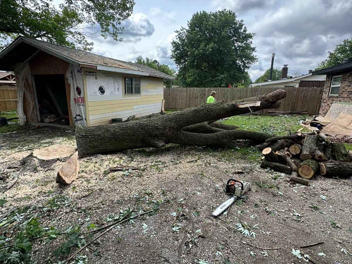 Luchos Tree Services