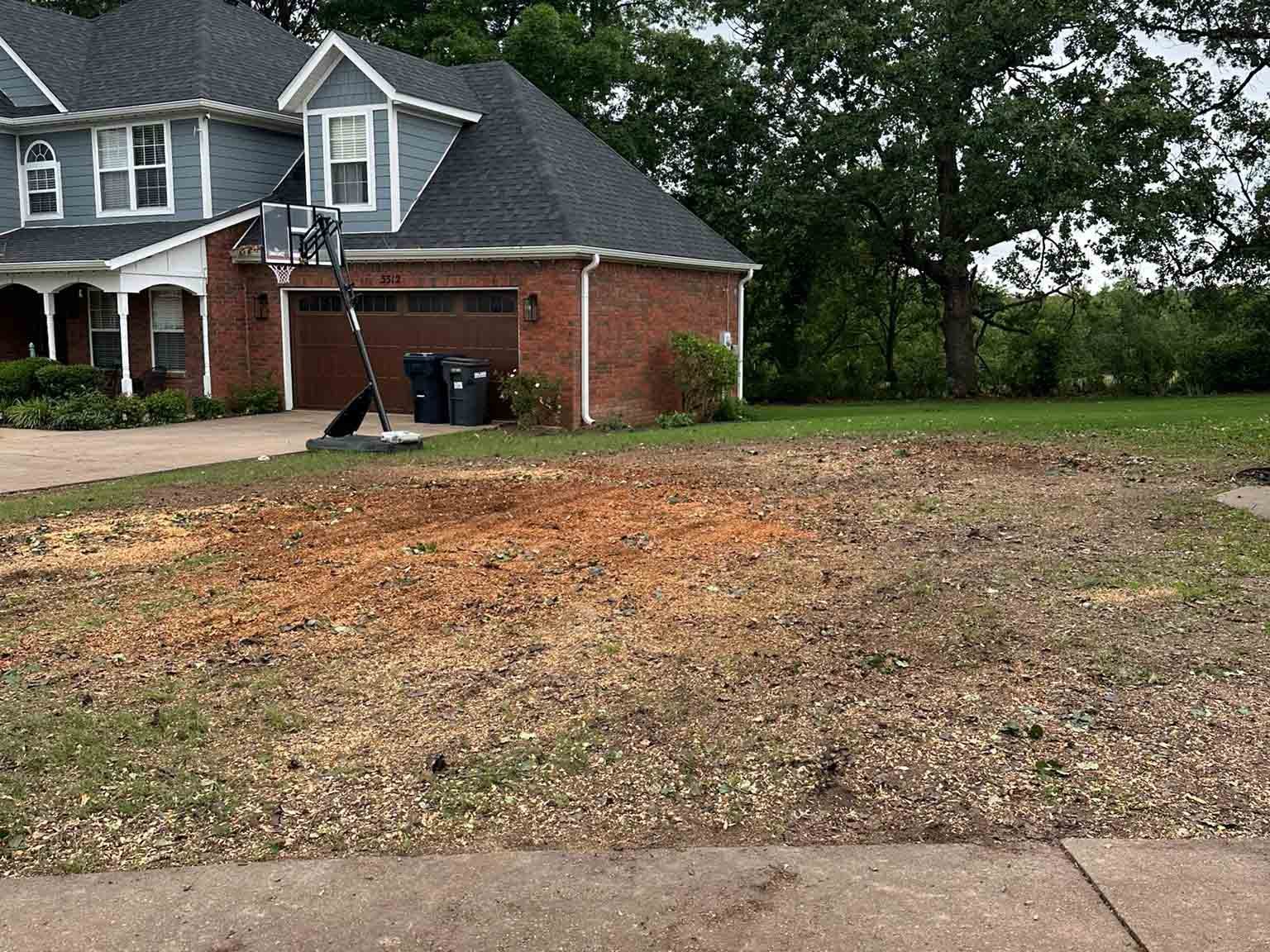 Luchos Tree Services