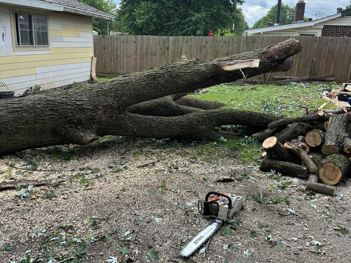 Luchos Tree Services