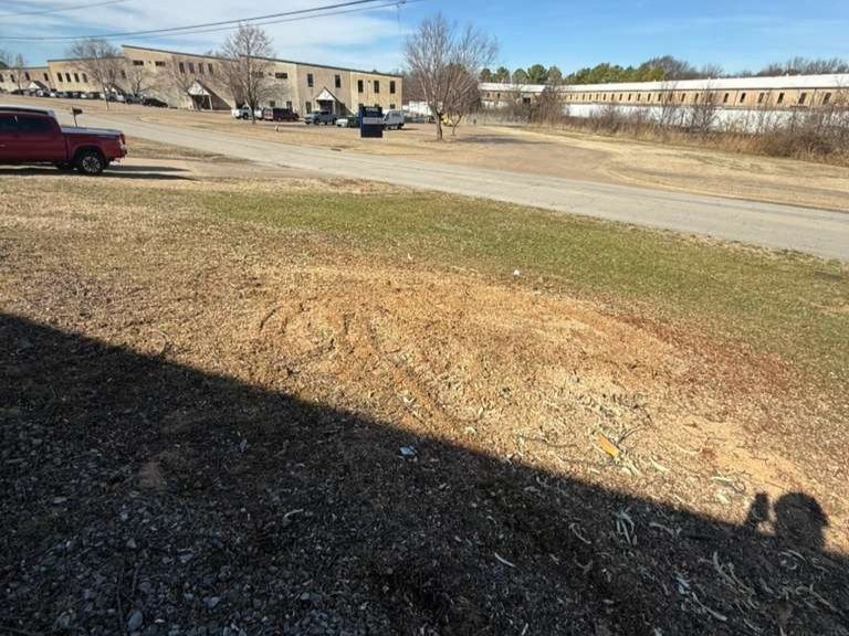 Luchos Tree Services