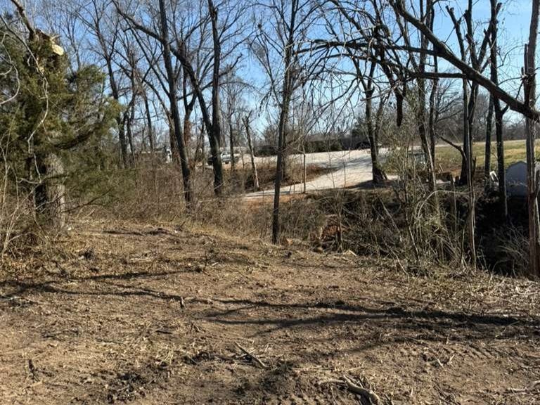 Luchos Tree Services