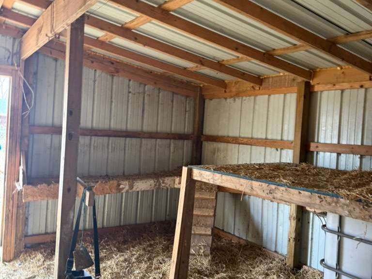 Luchos Tree Services