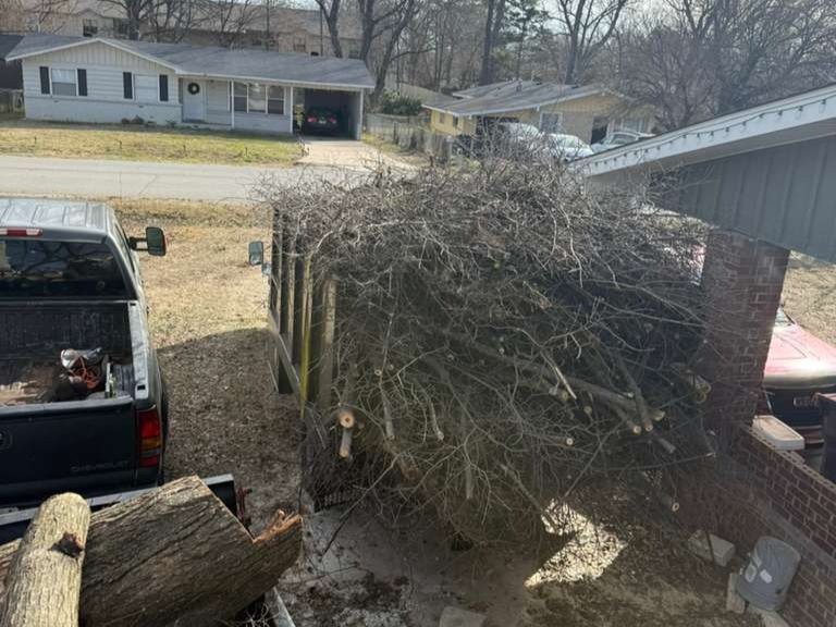 Luchos Tree Services