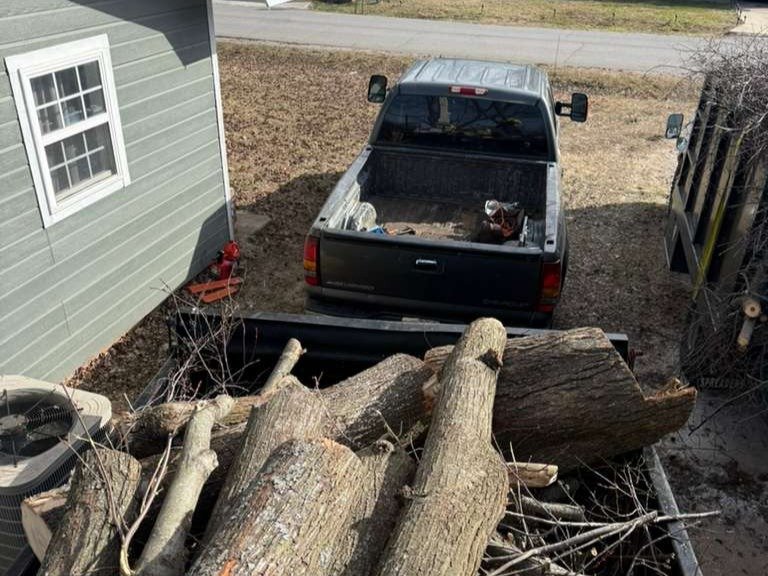 Luchos Tree Services