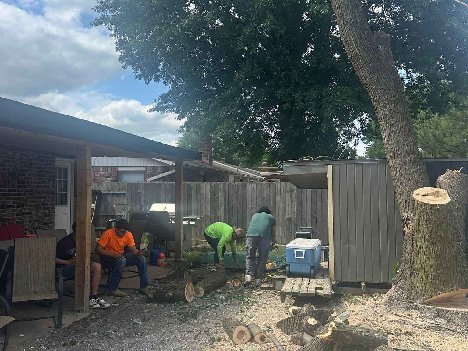 Luchos Tree Services